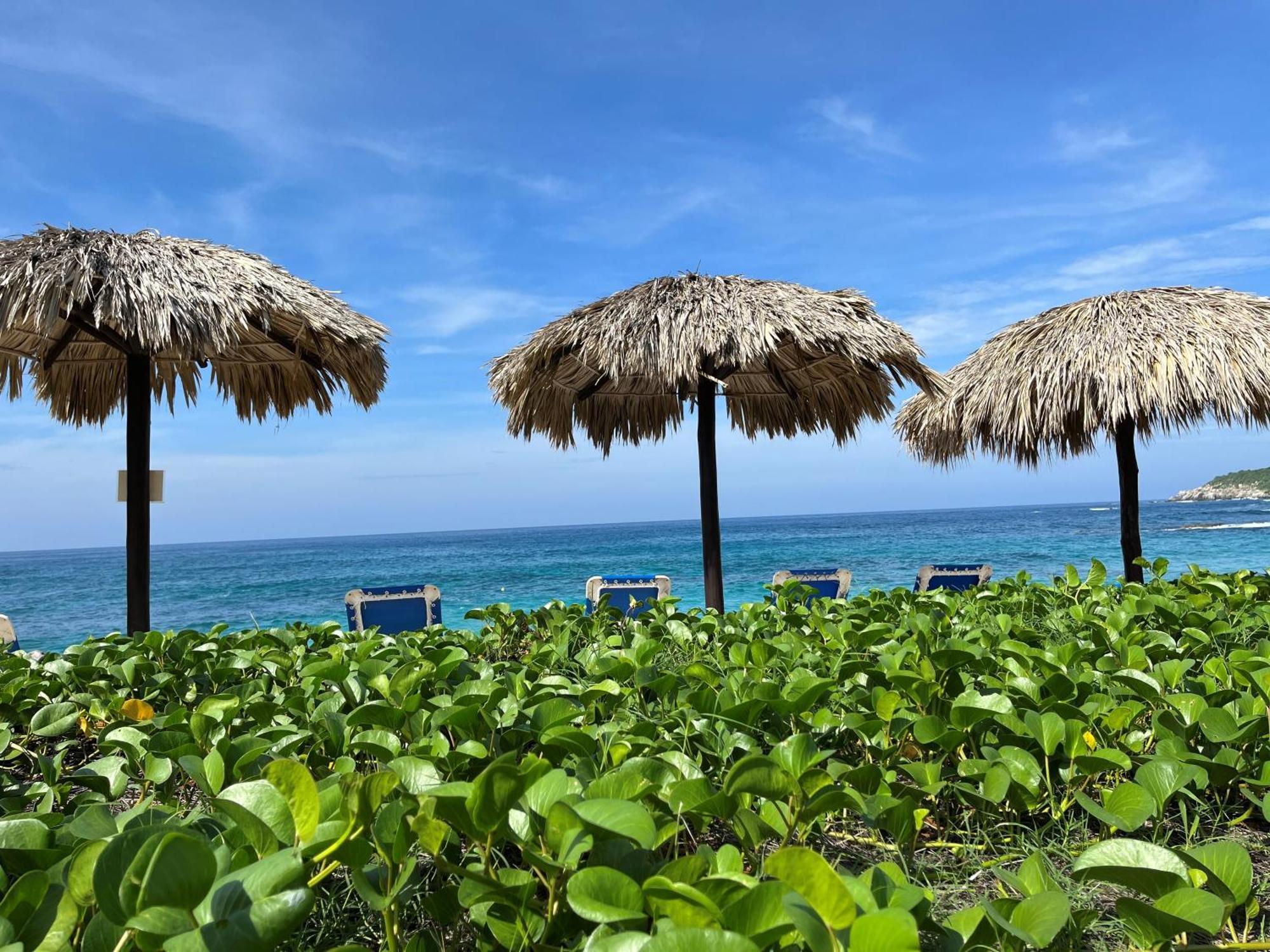 Manta Raya Hotel - Right On The Beach Cuatunalco المظهر الخارجي الصورة